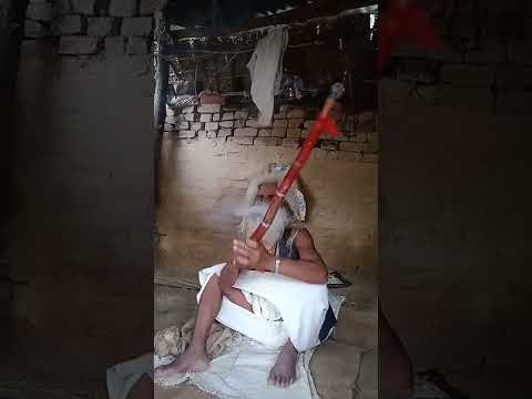 pike sahkar ji ki buti #pike #sahkarji#silpi raj_nadi biche naeya dole ||#shost #shorts