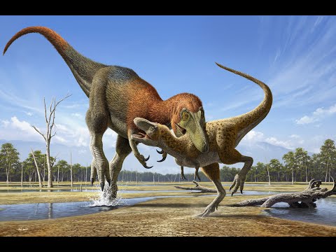 The Great Nanotyrannus Mystery