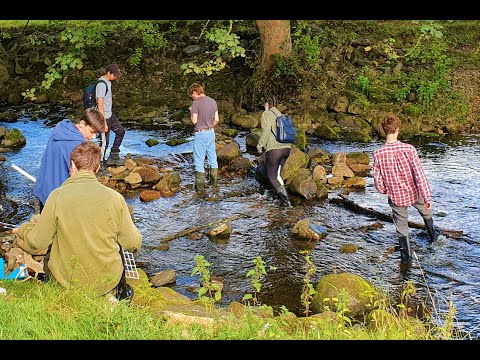 Geography A-level