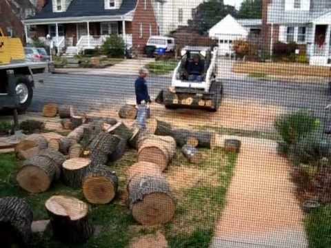 Tree Work -- Into The Chipper