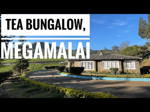 Tea Bungalow review || Megamalai || Tamil Vlog