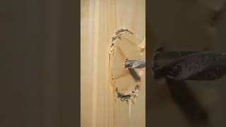 Unique technician tips daily about tools and hacks #shorts #amazing #boomstick #diy #viral #video