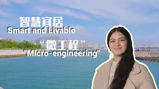 Smart Construction in the Micro Projects