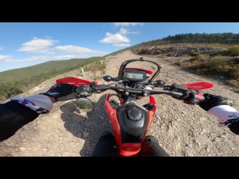 QUICK TRIP UP AND DOWN THE MOUNTAIN