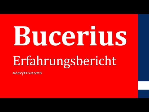 Experience of studying law at Bucerius Law School
