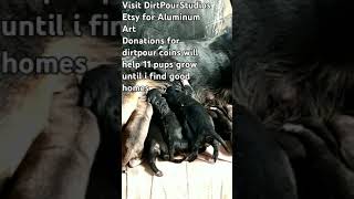 Please like, share, SUBSCRIBE for updates, and visit DirtPourStudios on Etsy to help