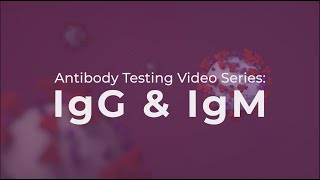 Тестирование на антитела: объяснение IgG и IgM.