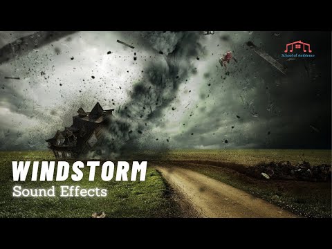 Heavy Wind and Tropical Storm Sound Effects  | High Quality & Royalty Free | School of Ambience