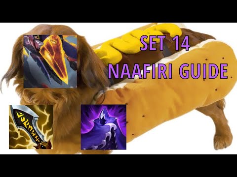 How to play the DOG in TFT set 14