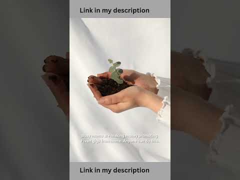 Fiverr Affiliate Income for Stay-at-Home Moms