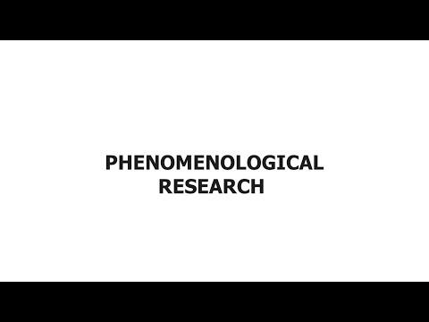 WHAT IS PHENOMENOLOGICAL