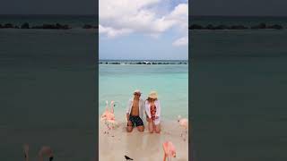 We found paradise on Flamingo Beach Aruba