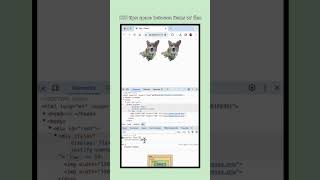 CSS Quick tips: Centering w/ Flexbox #css #flexbox #csstips #codingtips