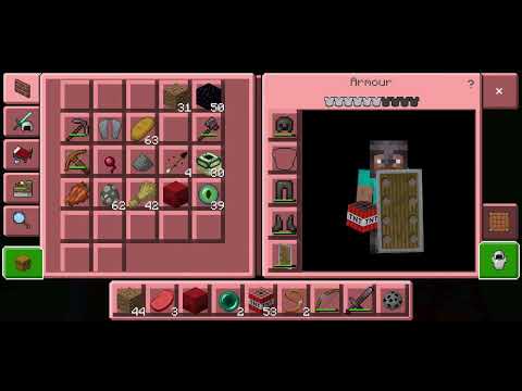 Minecraft (3)