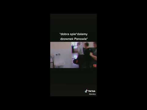 tik tok meme compilation polska edition