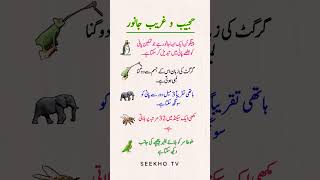 5 Animal Facts that Sound Fake but are 100% Real! 😱