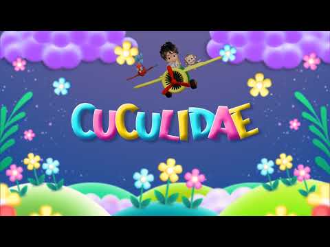 Cuculidae Live Stream