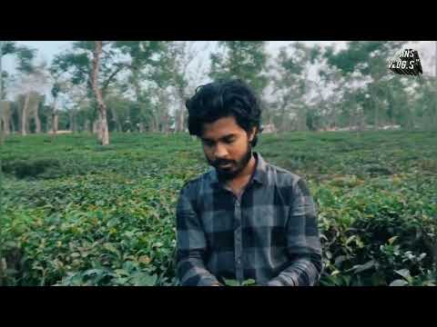 অপরূপ সৌন্দর্যে ভরপুর কোলাহলমুক্ত পরিবেশ, কোথাও সবুজ ক্ষেত, নিবিড় অরণ্য আবার কোথাও সুউচ্চ পর্বতমালা!