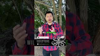 Accelerate Your Website Speed by 300% with GZip Compression 🚀💻 #WebPerformance Part 1