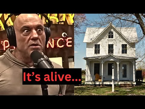 Things have memory! They are alive | Joe Rogan & That Mexican OT