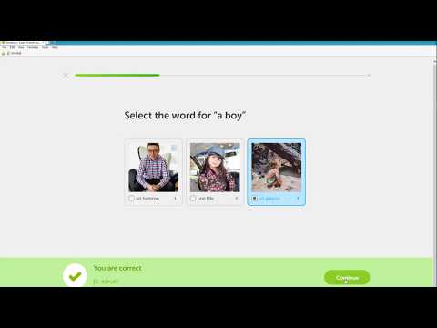 Duolingo combined with SuperMemo 17