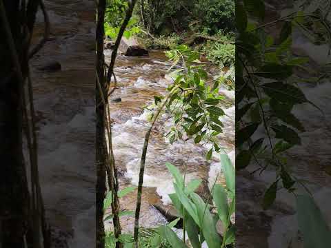 Nature, landscapes, harmony, tranquility