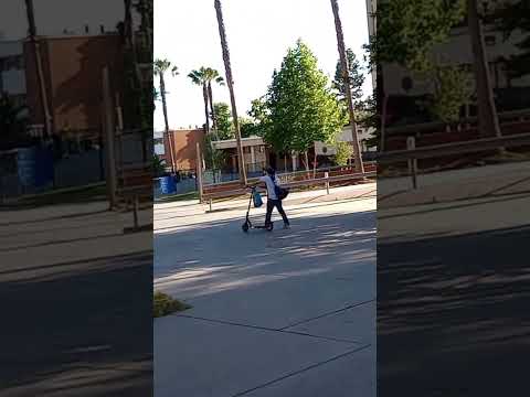 Collapse of Cal State Colleges in Calif.