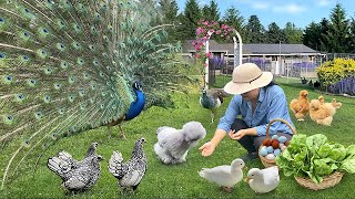 Finding Joy in Simple Things 🌿 A Peaceful Day with Organic Gardens, Beloved Pets & Nourishing Meals