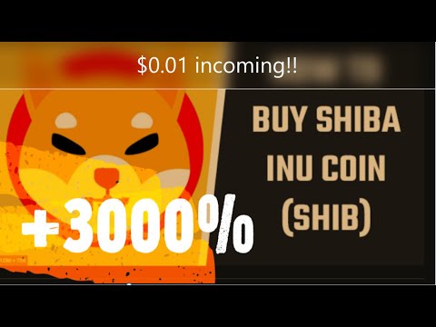 Shiba Inu Launches into outer space