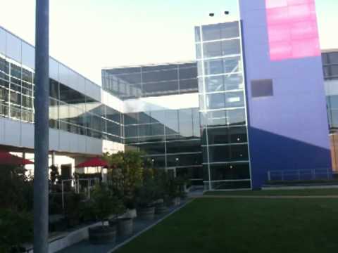 Google HQ Grounds 1