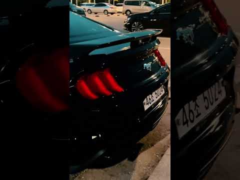 The Power of Mustang! #mustang #mustang_fans #mustanggt #mustangs #mustangclub #mustangsvt