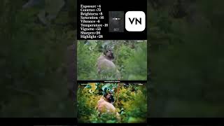 VN app settings #vn #vnvideoeditor  #cover #music #mashup #remix #reels #ytshorts #ai #techandtips