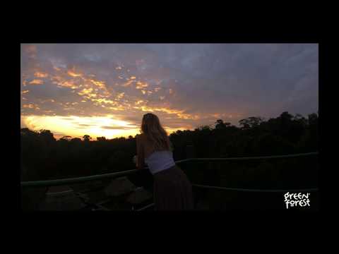 Amazon Jungle Romantic Getaway in Ecuador