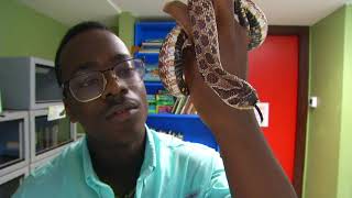 #ThePlayground: Miami EcoAdventures: Reptiles
