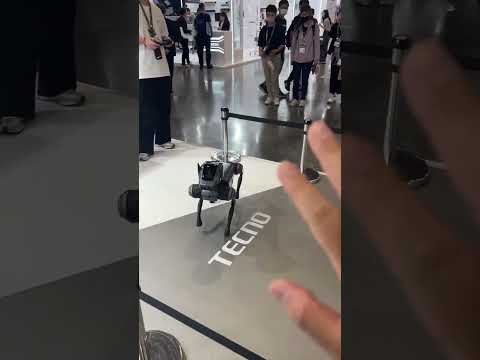 Meet the friendly Robot Dog at #computex2024 🤖🐶 #FriendlyTech #InteractivePet