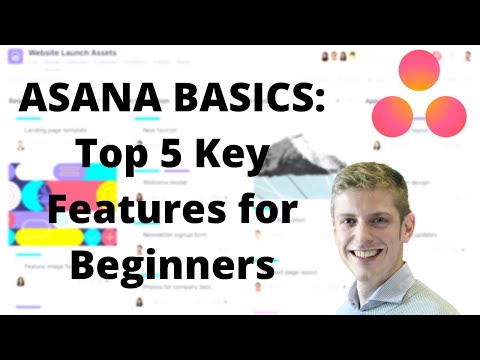 ASANA BASICS: Top 5 Key Features You Need to Know When Starting Out (Project Management Software)