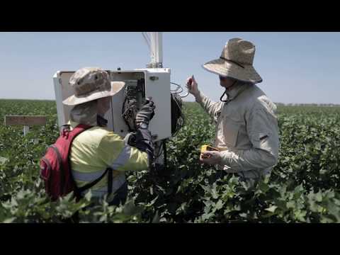 Andrew Grestre MW2 1080p 20mbps