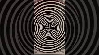 Spinning Circle Illusion