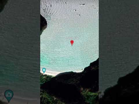 swimming with sharks 🦈 I thought I never would do this but it was special🥹 #mayabay #phiphiislands