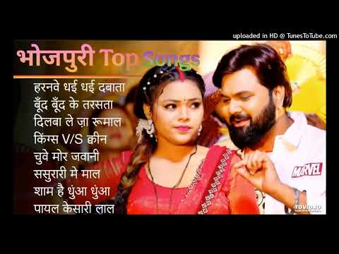हरनवे धई धई दबाता | Top Nonstop Bhojpuri Songs 2025 | Shilpi Raj , Neha Raj | Bhojpuri Gana हरनवे धई
