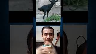 Short video #howtoviralvideo #shortsvideo