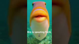 So true #meme #funny #aimeme #ai #facts