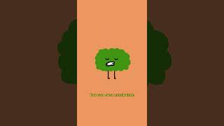 Why Do Farts Have Different Sounds? 🍑💨