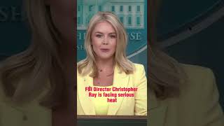 INTENSE Exchange: Leavitt Slams on Epstein Case!