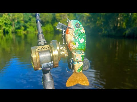 Catching BIG Fish In Florida River On HUGE Swimbaits