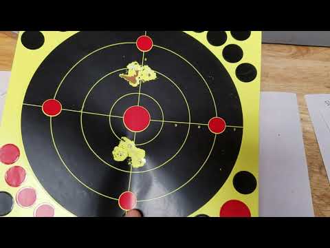 How Accurate is your Gamo?