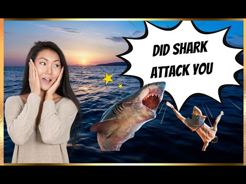 Why do great white shark attack on humans |why do great white shark bite  human