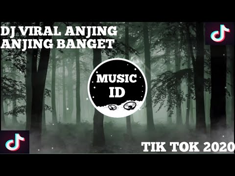 DJ Anjing Anjing banget Remix Viral x odading rasanya Anjing banget Tik Tok Viral 2020 FULL BASS