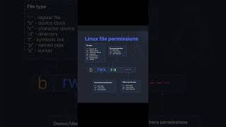 Understanding Linux File Permissions #cybersecurity #networking #shorts