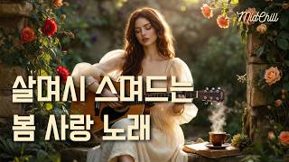 Playlist 🌿 봄날 조용히 듣기 좋은 사랑 노래 어쿠스틱 포크팝 모음